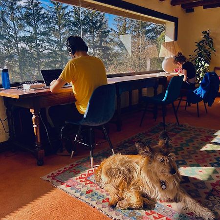 Villecien Domaine Foray Bed & Breakfast エクステリア 写真
