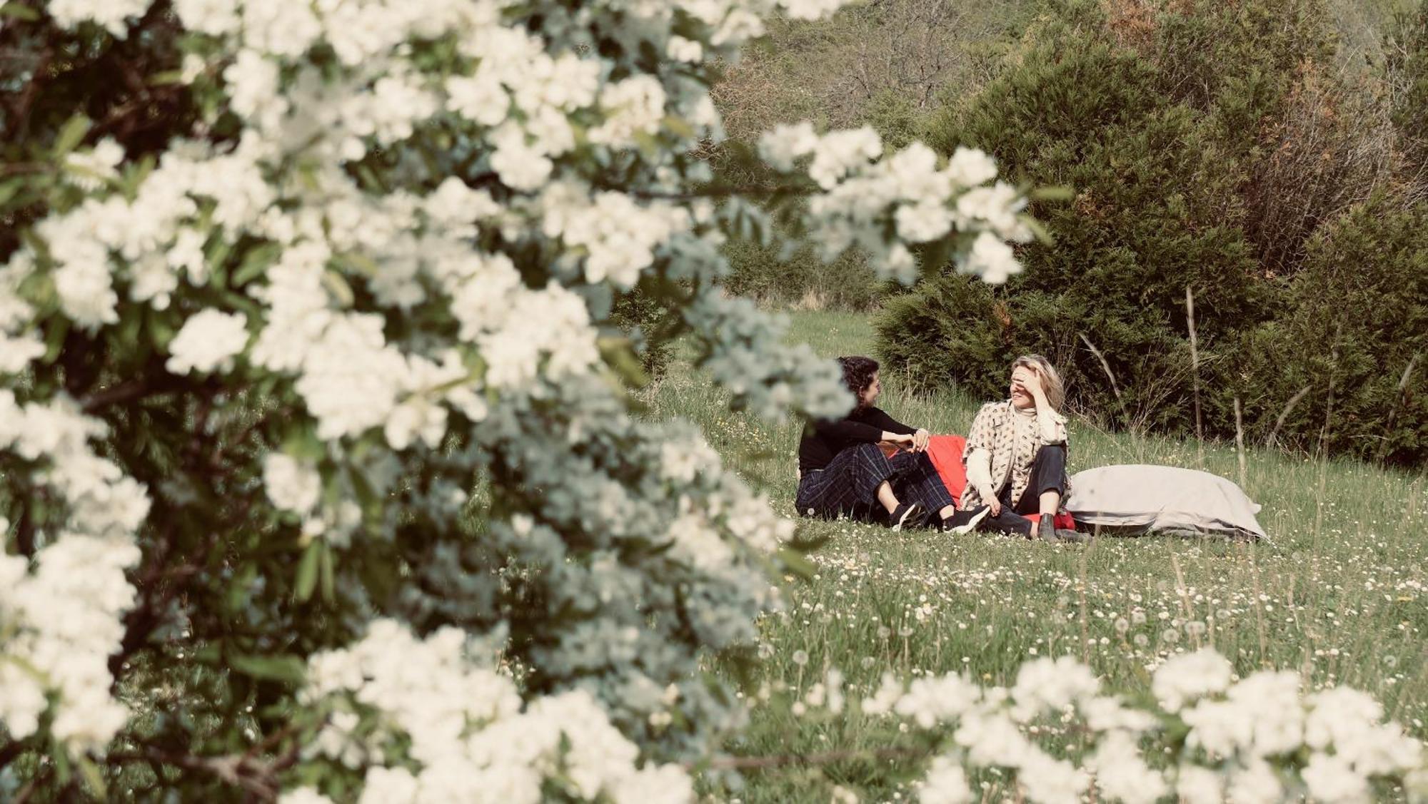 Villecien Domaine Foray Bed & Breakfast エクステリア 写真